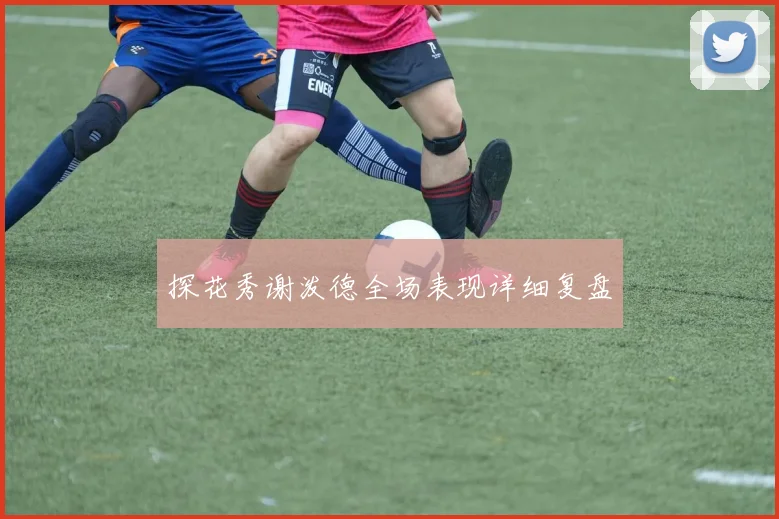 探花秀谢泼德全场表现详细复盘